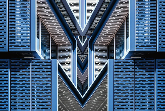 骨骼